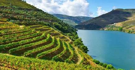 Vale do Douro