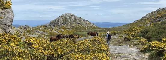 Serra d'Arga